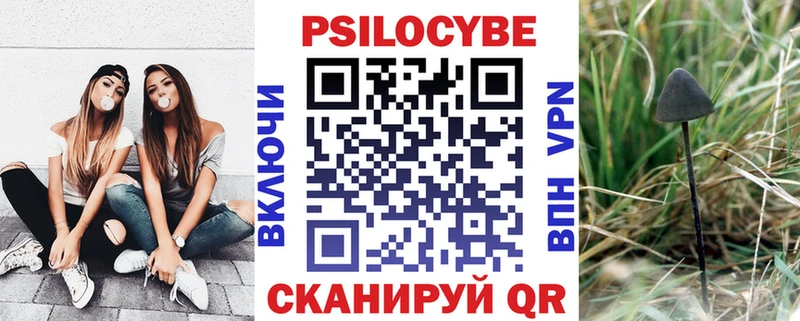 Купить  Шарыпово  Псилоцибиновые грибы ЛСД 