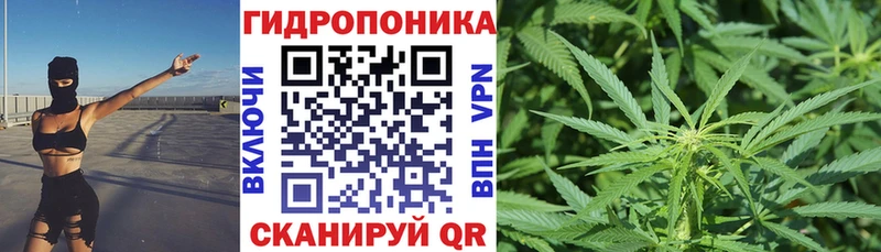 Купить  Шарыпово  Бошки марихуана сатива 